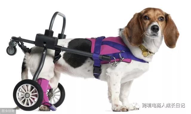 亚马逊宠物轮椅类目卖家