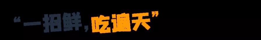 13个网红卖了10000台产品？海外“李佳琦”们的营销秘笈大公开