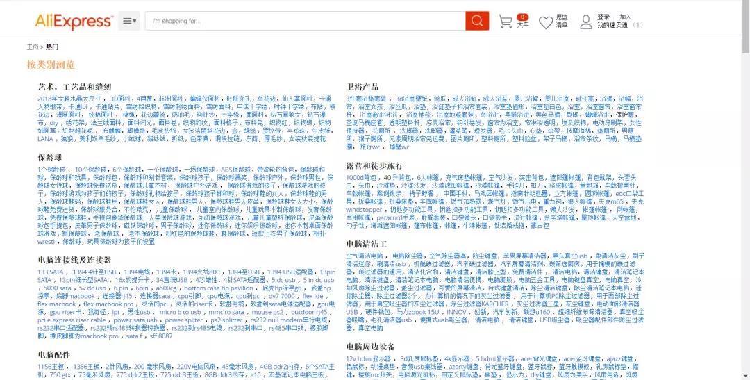独立站Dropshipping*玩法