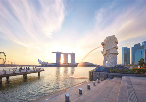 新加坡海运专线介绍