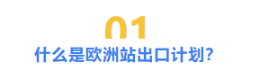 1个sku直接卖到欧洲16个国家亚马逊欧洲出口计划上线