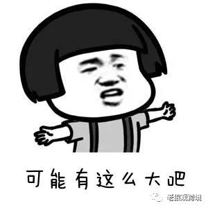 2017年為205億歐元