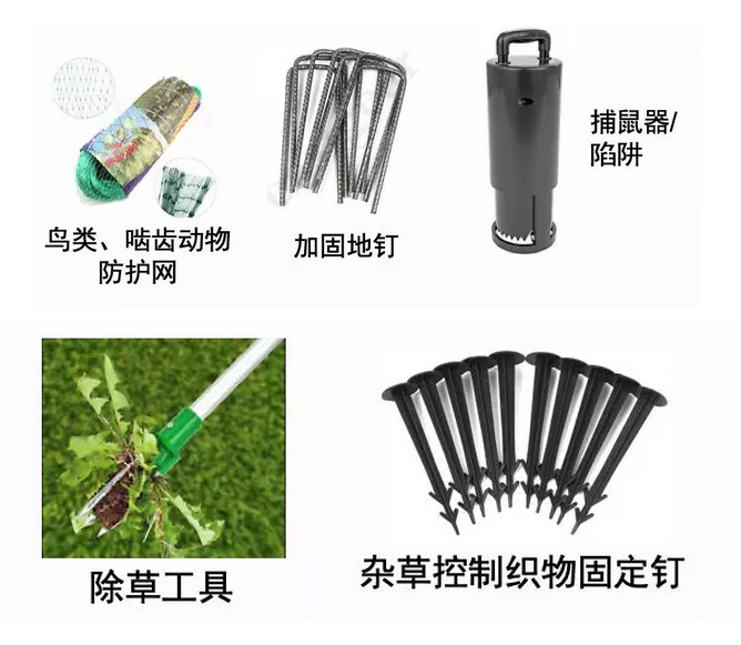选它，让这个夏天的销量像气温一样飙涨！