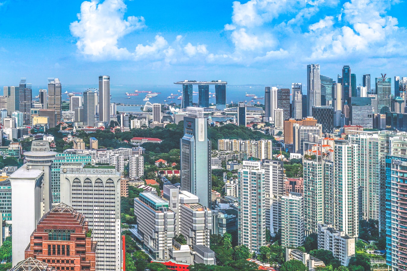 新加坡电商平台发展现状