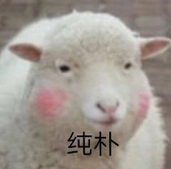 图片 2.png