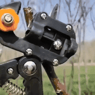 13.gif