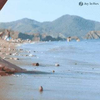 6.gif