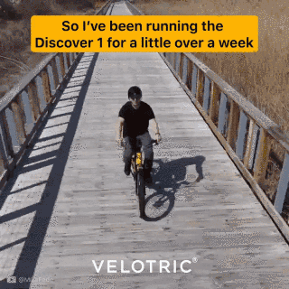 8.gif