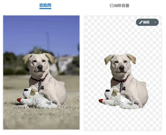 1673574196337074.jpg 1673574192023.jpg