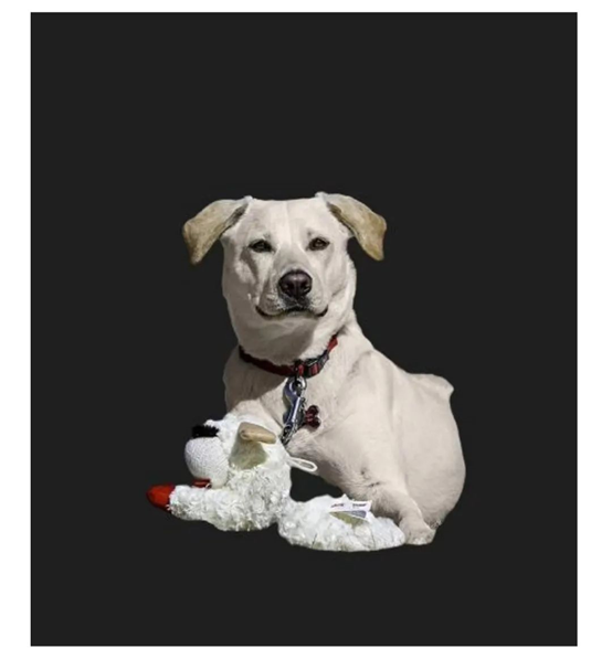 1673574208326195.jpg 1673574205072.jpg