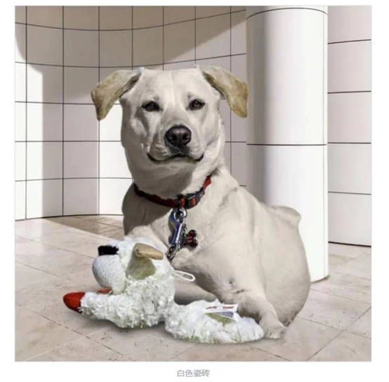 1673574231140413.jpg 1673574225192.jpg