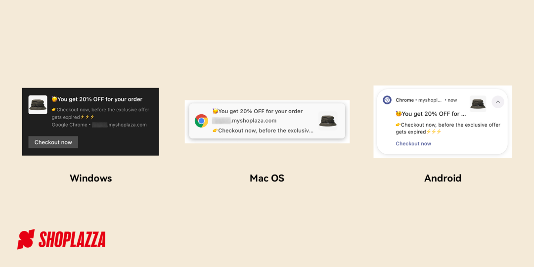 1678085160163577.png webpush1.png