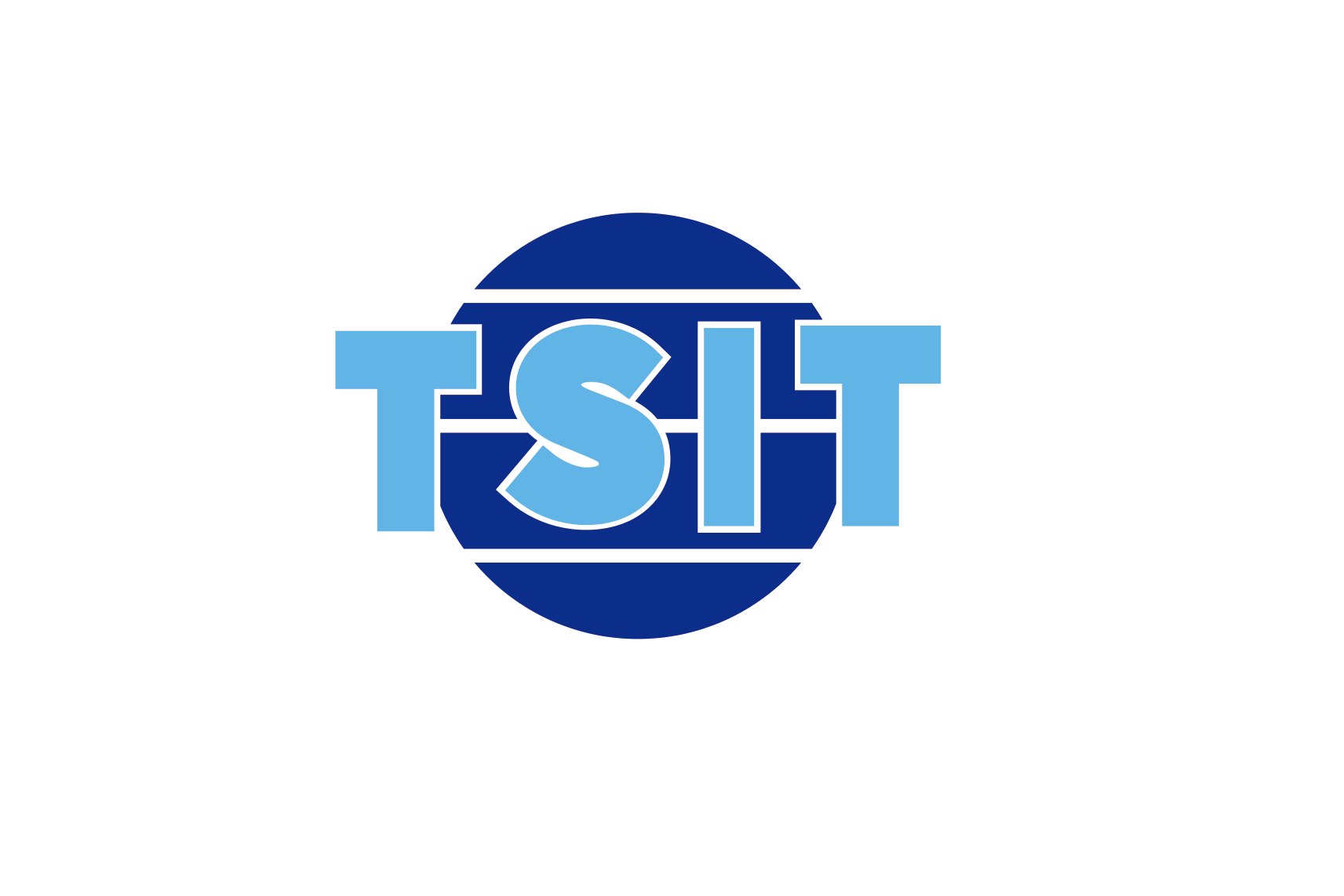 TSIT GmbH 德国顶辉国际