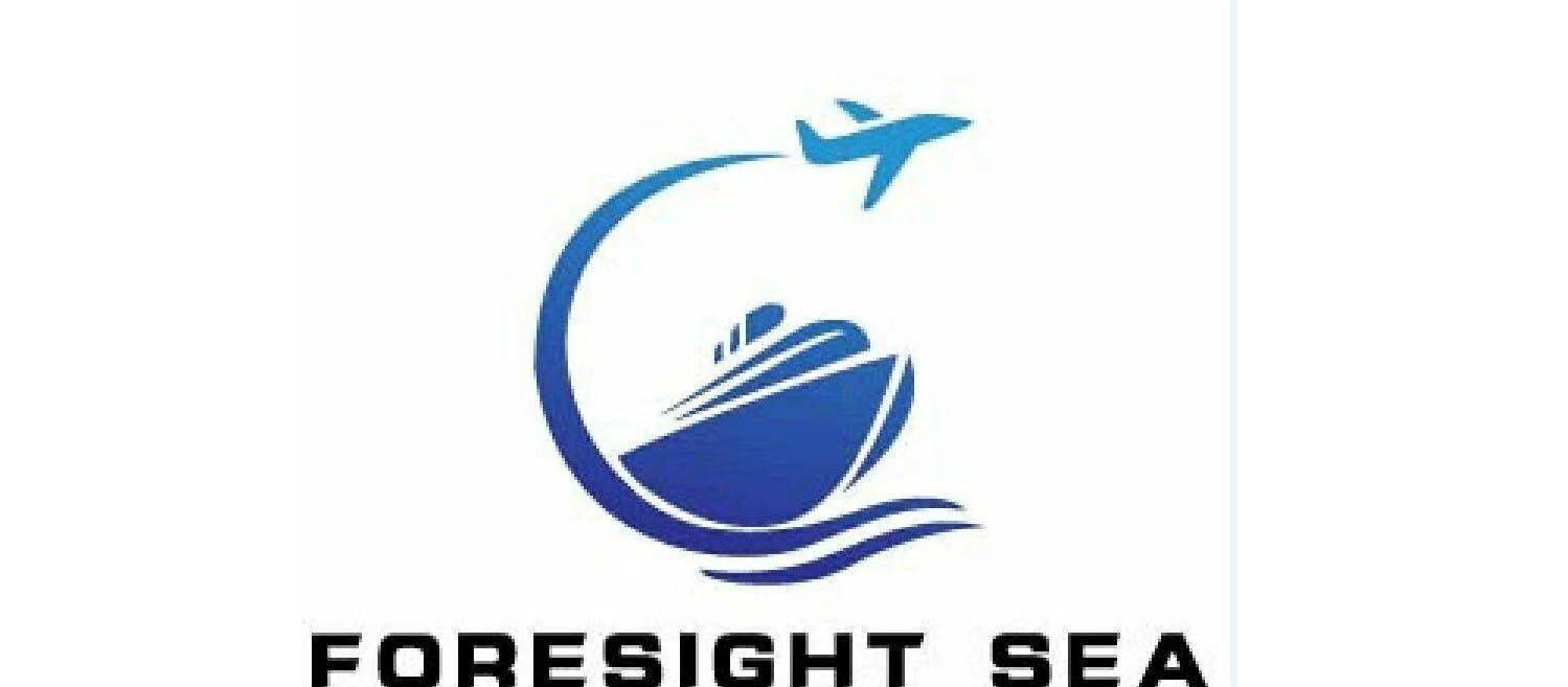深圳市远见海国际货运代理有限公司