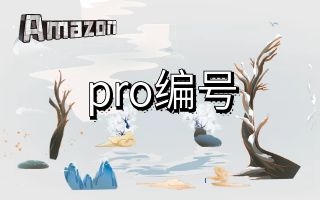 亚马逊的新规则-PRO编号是什么