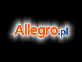 Allegro平台爆品有哪些？附选品建议