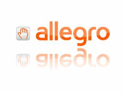 Allegro账户被冻结原因，怎么办？