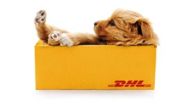 ShipSaving快递干货- DHL国际快递尺寸与包装要求