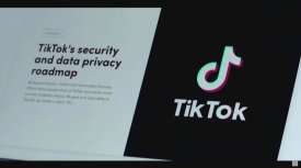 2022年TikTok用户画像分析