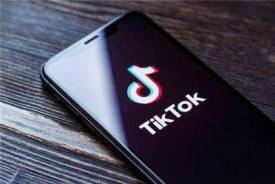 TikTok卖家注意 TikTok夏天爆单品类一览