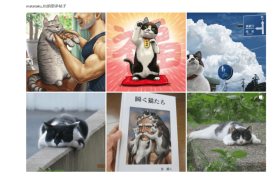 1012家店铺被冻结资金，Listing上这些词汇+图案不能