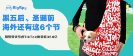 TikTok爆款标签观看超354亿，圣诞前的最强带货节点是它