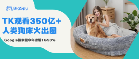 跨境电商爆款产品年收入超$800亿！GG搜索涨1650%