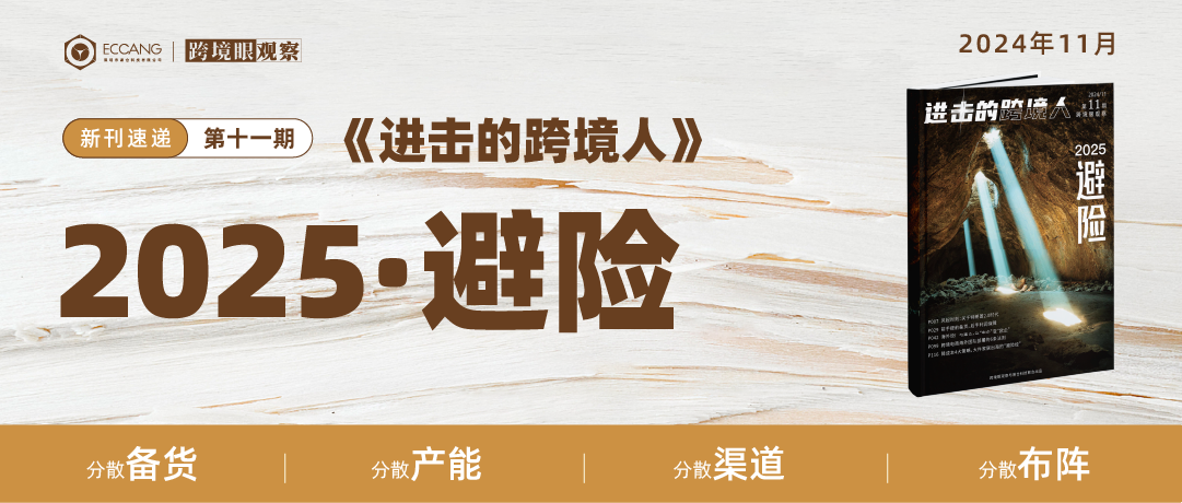 跨境电商前瞻2025，分散风险4大招
