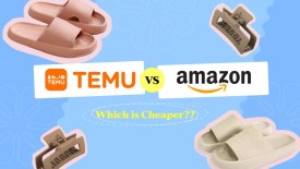 Temu卷飞亚马逊，低价混战下跨境电商卖家的生存法则