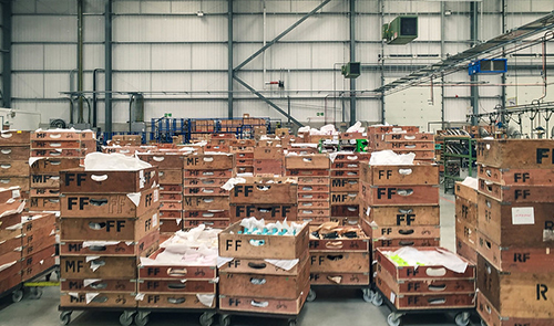 海外仓如何凭借企业转型重塑跨境电商物流？