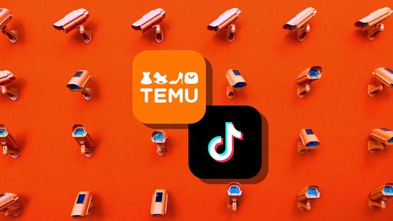 国内两大平台狂飙海外：TikTok Shop增速第一，Tem
