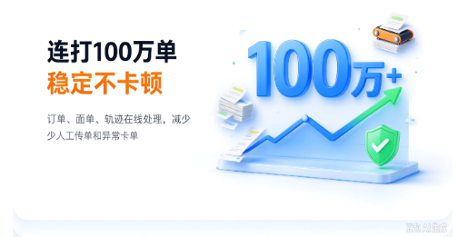 国内有哪些打单系统？