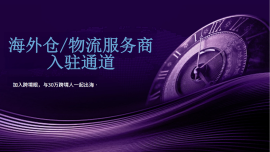 跨境眼官网基础版服务商入驻