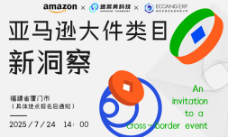 亚马逊大件类目新洞察