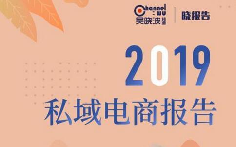2019年私域电商报告