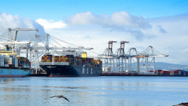 奥克兰港口冷藏出口增长20%