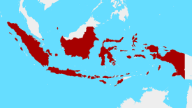 可靠的印度尼西亚专线货代哪家好？