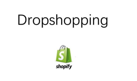 Dropshopping是什么？如何利用速卖通做Shopify独立站的Dropshopping？