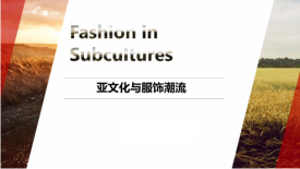 Wish干货∣解读亚文化时尚，一个不断出圈的亿万大市场！