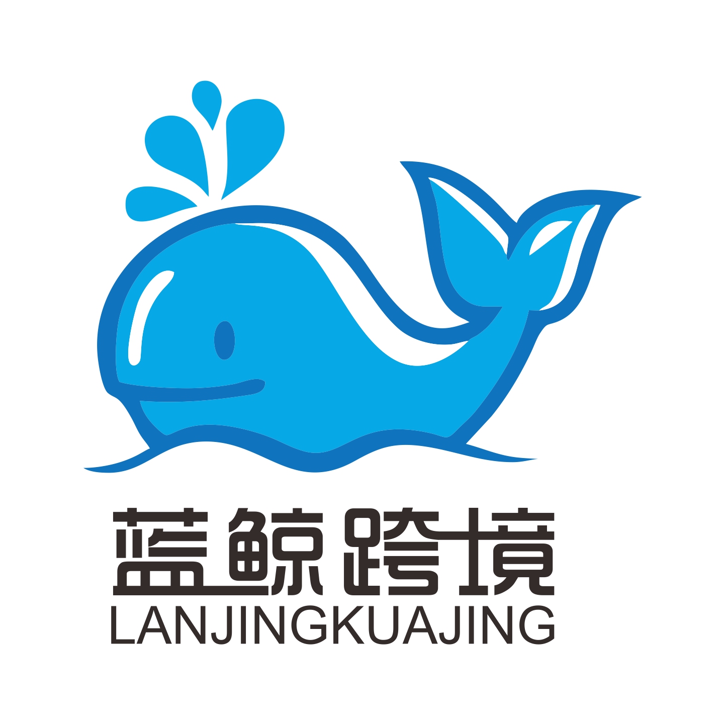 深圳市蓝鲸跨境物流有限公司